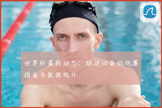 世界杯最新动态：球迷必备的观赛指南与数据统计