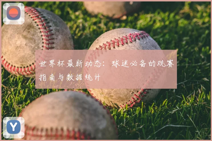 世界杯最新动态：球迷必备的观赛指南与数据统计