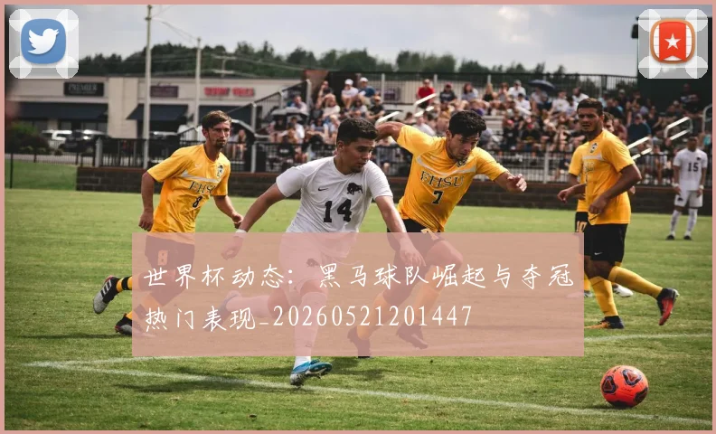 世界杯动态：黑马球队崛起与夺冠热门表现_20260521201447