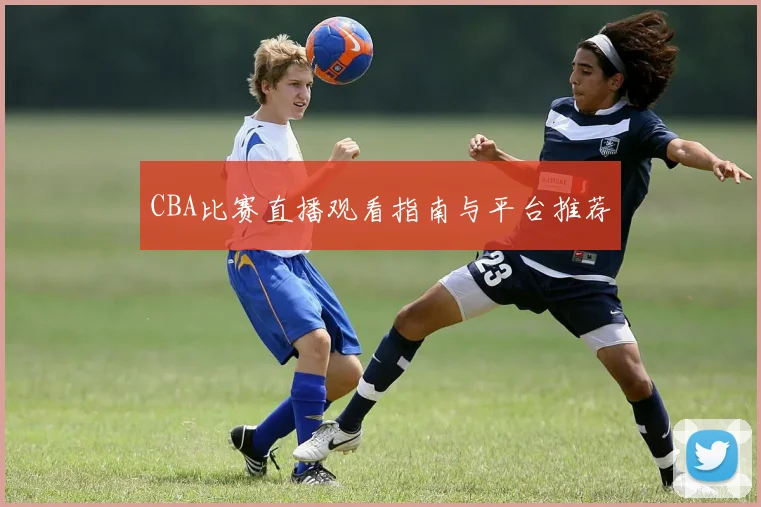 CBA比赛直播观看指南与平台推荐